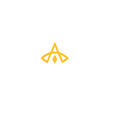 Vivacta (9) (1)
